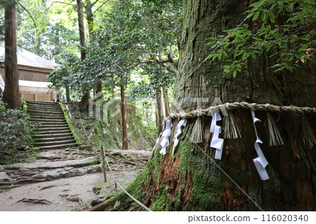 Sanin, spring, early summer in Tottori, climbing Mt. Mitoku, climbing Mt. Mitoku, climbing Mt. Nageiredo, trips to national parks, many designated cultural properties and national treasures 116020340