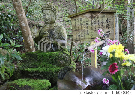 春季和初夏的山陰、鳥取、三德山、三德山、攀登投入堂、遊覽國立公園、眾多指定文化遺產和國寶。 春季和初夏的山陰、鳥取、三德山、三德山、攀登投入堂、遊覽國立公園、眾多指定文化遺產和國寶。 116020342