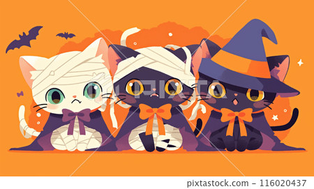 穿著萬聖節制服的貓 穿著萬聖節制服的貓 116020437