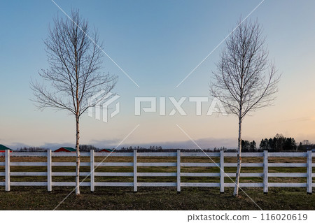Ban'ei Ranch Tokachi (Obihiro City, Hokkaido) 116020619