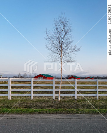 Ban'ei Ranch Tokachi (Obihiro City, Hokkaido) 116020621