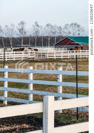 Ban'ei Ranch Tokachi (Obihiro City, Hokkaido) 116020647