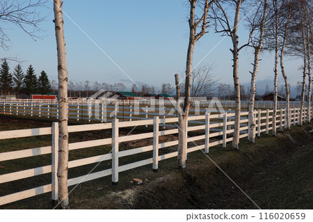 Ban'ei Ranch Tokachi (Obihiro City, Hokkaido) 116020659