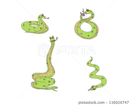 cartoon interesting snakes different situations cartoon interesting snakes different situations 116020747