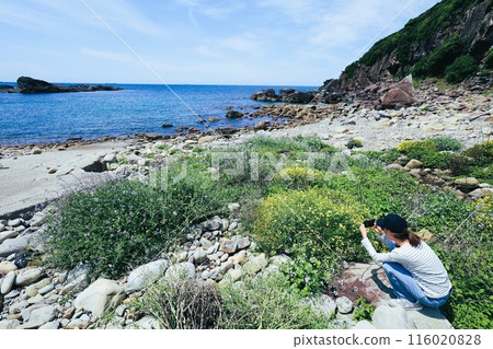 Spring, early summer, summer in Wakayama, Nanki, Shirahama, glamping with a bonfire and exploring the Blue Lagoon, Torigoe Cave and Hioki River Spring, early summer, summer in Wakayama, Nanki, Shirahama, glamping with a bonfire and exploring the Blue Lagoon, Torigoe Cave and Hioki River 116020828