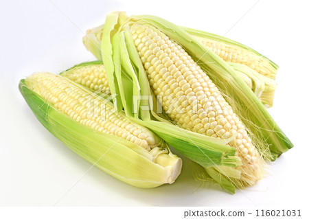 Corn (White Blessing) Corn (White Blessing) 116021031