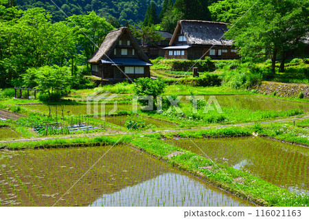 春天五簇山相倉村 春天五簇山相倉村 116021163