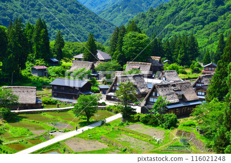 春天五簇山相倉村 春天五簇山相倉村 116021248