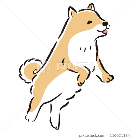 一隻跳躍的狗的插圖 116021384