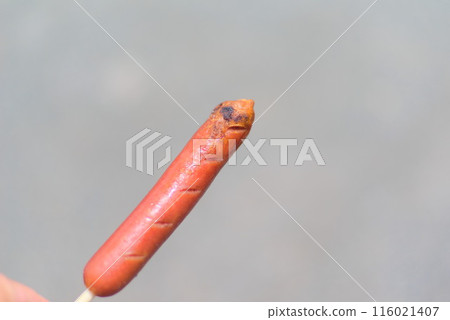 A slice of frankfurter that conveys its deliciousness 116021407