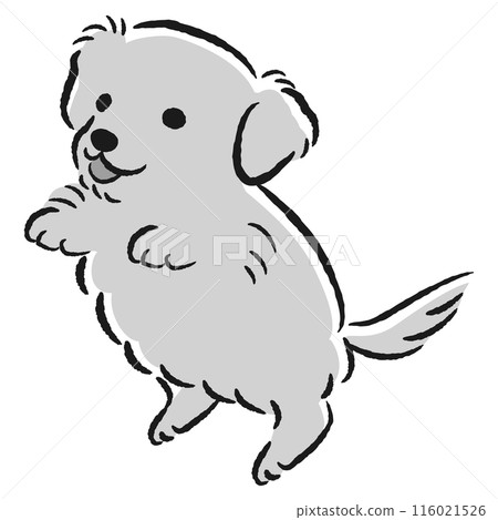 Jumping dog illustration 116021526