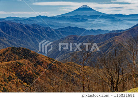 View of the autumn foliage of the mountain ranges and Mt. Fuji from Sasadaira in Okuchichibu View of the autumn foliage of the mountain ranges and Mt. Fuji from Sasadaira in Okuchichibu 116021691