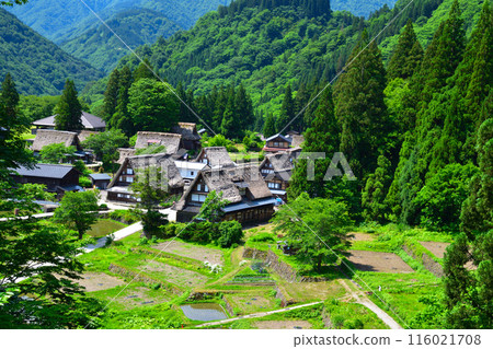 初夏,五箇山,相倉村 初夏,五箇山,相倉村 116021708