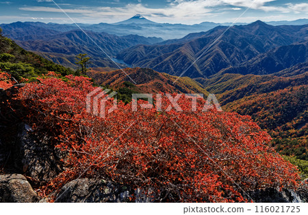 View of Mt. Fuji and autumn leaves while climbing Mt. Hafu in Okuchichibu View of Mt. Fuji and autumn leaves while climbing Mt. Hafu in Okuchichibu 116021725