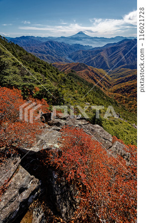 攀登奧道部哈風山時欣賞紅葉和富士山 攀登奧道部哈風山時欣賞紅葉和富士山 116021728