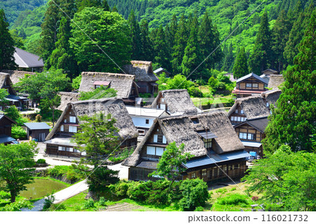 Early summer, Gokayama, Ainokura village Early summer, Gokayama, Ainokura village 116021732