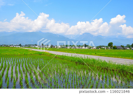 Rural scenery, Shinshu, Azumino 116021846