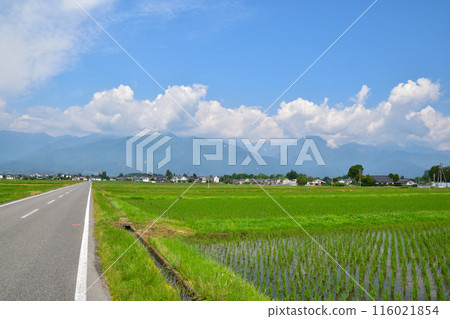 Rural scenery, Shinshu, Azumino 116021854