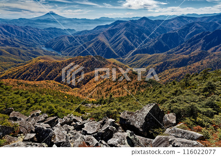 Autumn foliage of the mountains and Mt. Fuji from the summit of Mt. Hafu in Okuchichibu Autumn foliage of the mountains and Mt. Fuji from the summit of Mt. Hafu in Okuchichibu 116022077