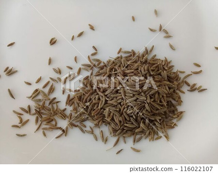 A pile of cumin seeds from Mexico on a white plate 116022107