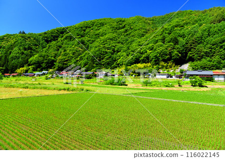 Scenery of Fujisawa, Takato Town, Ina City, Nagano Prefecture (Ina City, Nagano Prefecture) [2024.6] 116022145