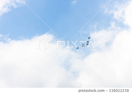 藍色衝動航空展 116022238