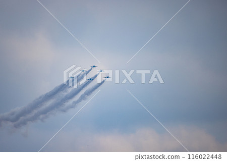 藍色衝動航空展 116022448