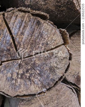 texture of weathered wood cuts, background, grunge 116022535