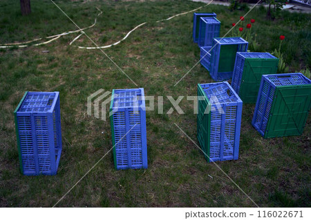 plastic boxes for vegetables lie on the grass 116022671