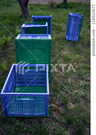 plastic boxes for vegetables lie on the grass 116022673