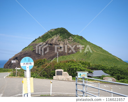 佐渡島小野龜巴士站 佐渡島小野龜巴士站 116022857