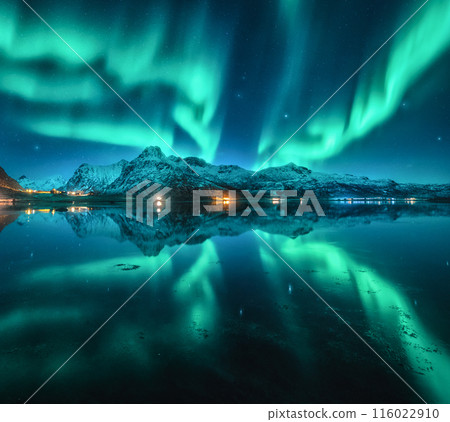 Northern lights over the snowy mountains, sea, fjord, reflection 116022910
