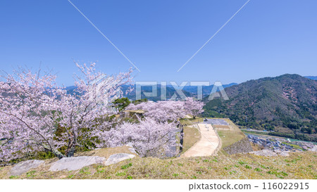 View from Takeda Castle Ruins 116022915