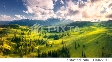 Aerial view of green alpine meadows on the hills at sunset 116022918