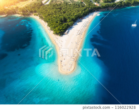 Aerial view of blue sea, sandbank, white sandy beach, green trees 116022928