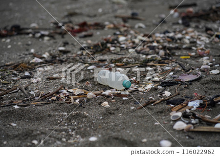 PET bottles washed up on the coast 116022962
