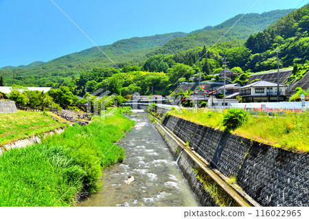 關谷橋/從藤澤河上游眺望（長野縣伊那市）[2024.6] 116022965