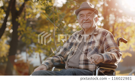 senior, man, wheelchair 116022981