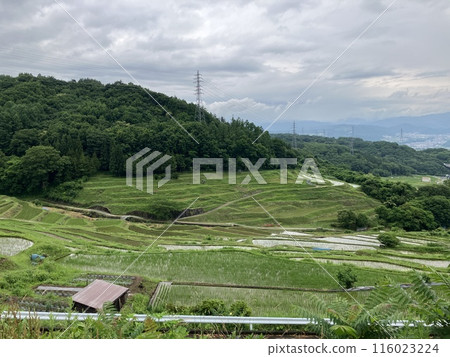 與梯田的風景 與梯田的風景 116023224
