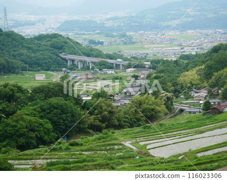 從山上看到的風景 從山上看到的風景 116023306