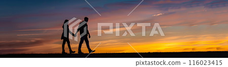 sky, sunset, silhouette 116023415