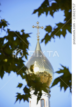 the dome of the Orthodox Church with a golden cross against the sky the dome of the Orthodox Church with a golden cross against the sky 116023717