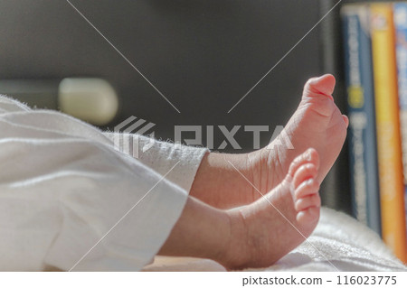 寶寶的腳在午睡 寶寶的腳在午睡 116023775