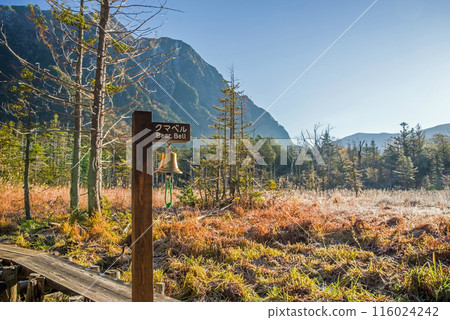 秋天的上高地[晨景]竹澤濕地週邊的散步道 116024242