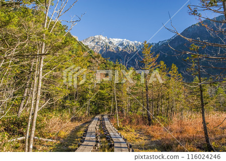 秋天的上高地[晨景]竹澤濕地週邊的散步道 116024246