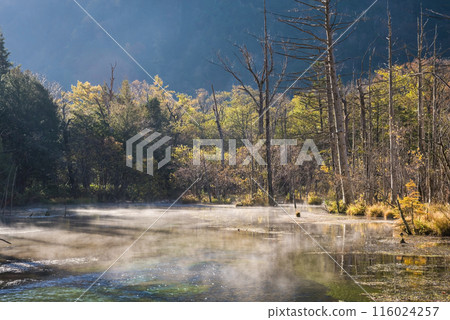 Autumn in Kamikochi, morning scenery: Dakezawa Marsh in the morning mist Autumn in Kamikochi, morning scenery: Dakezawa Marsh in the morning mist 116024257