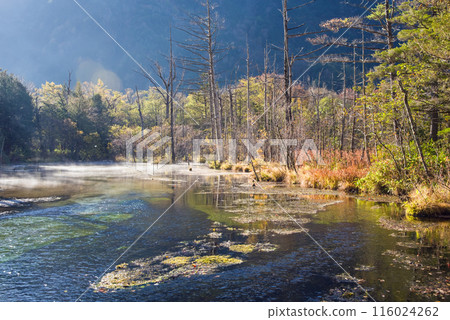 Autumn in Kamikochi, morning scenery: Dakezawa Marsh in the morning mist 116024262