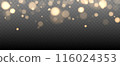 Gold bokeh lights isolated. Vector background with gold sparkles 116024353