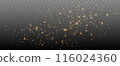 Gold sparkles background. Vector shining particles 116024360