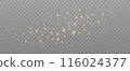Gold sparkles background. Vector shining particles 116024377